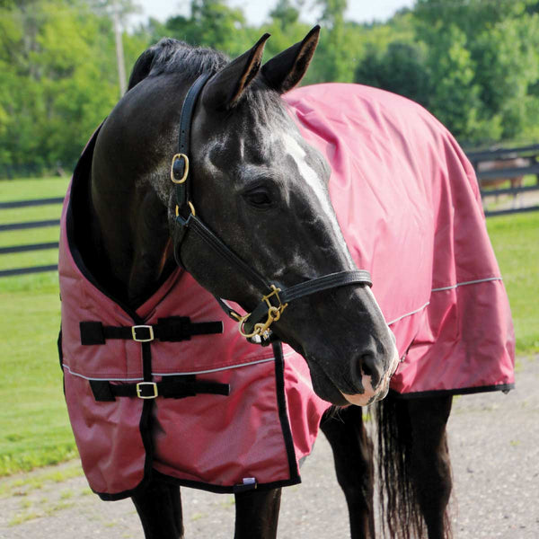 Country Pride Arctic Breeze Midweight 1680D Turnout Blanket